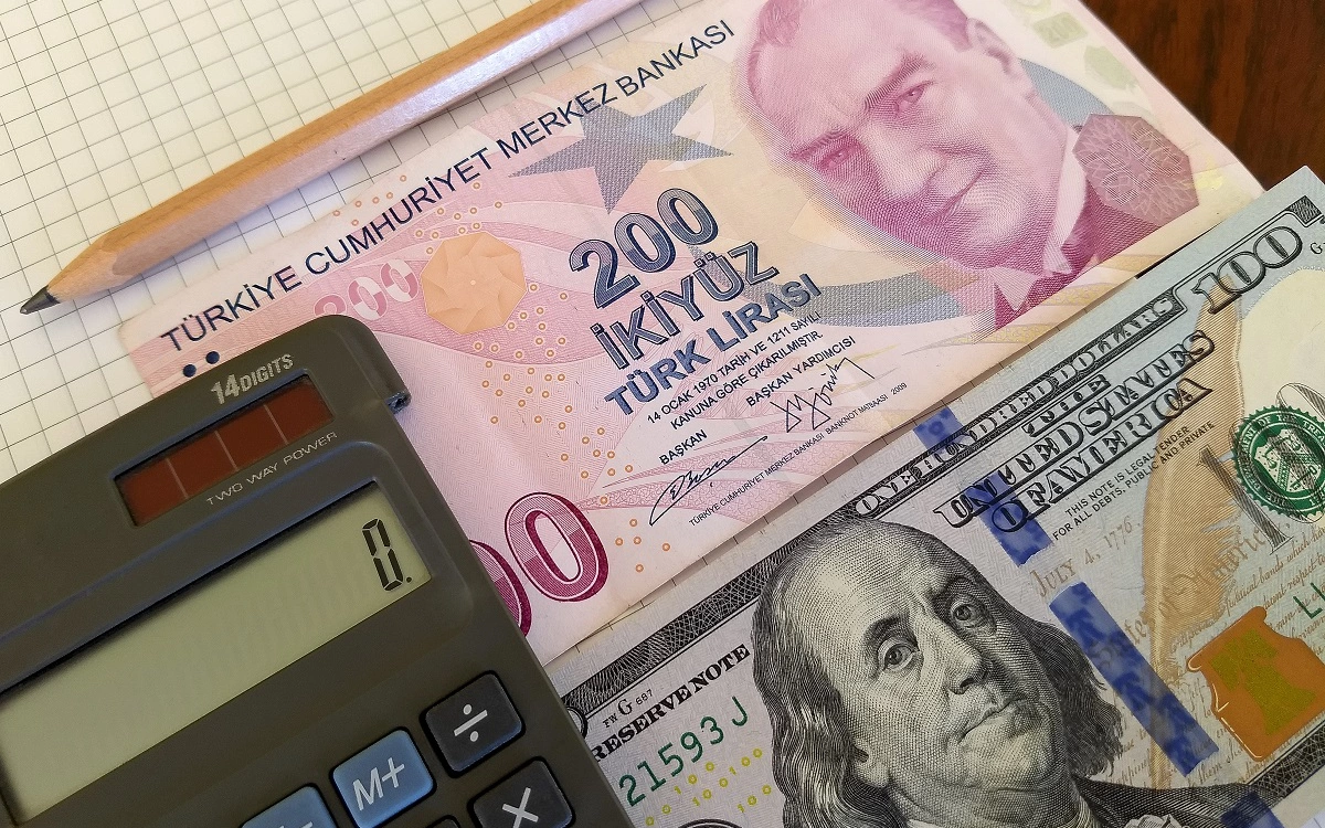 Morgan Stanley предсказал обвал лиры почти на 40% после победы Эрдогана