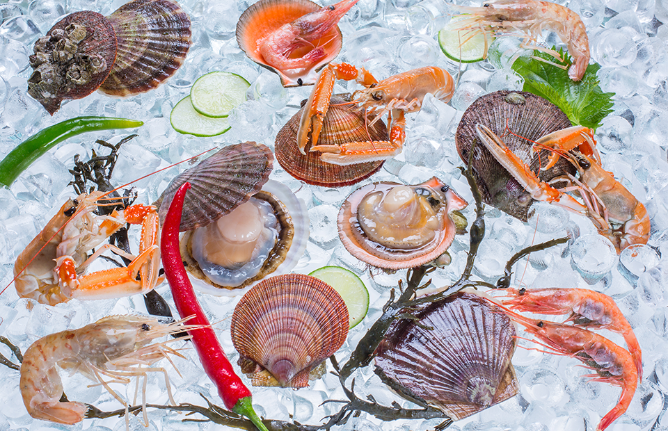 Фото: пресс-служба Pescatore