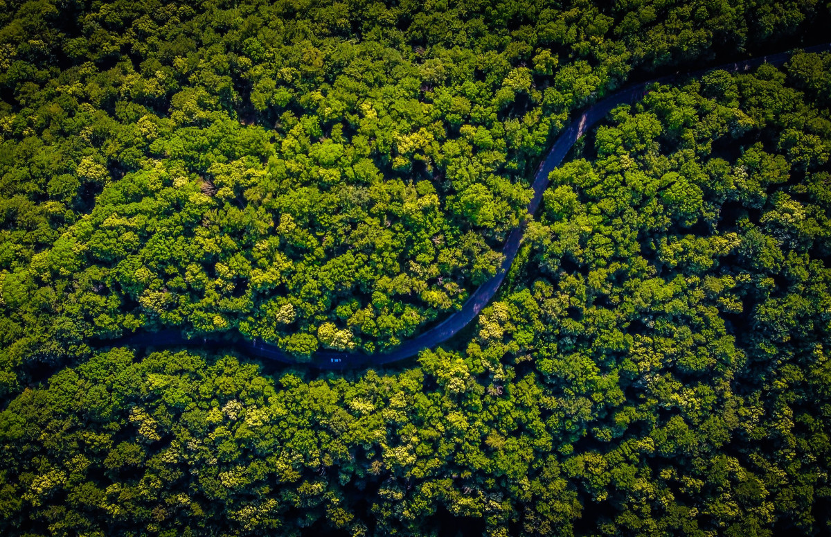 Фото: Unsplash