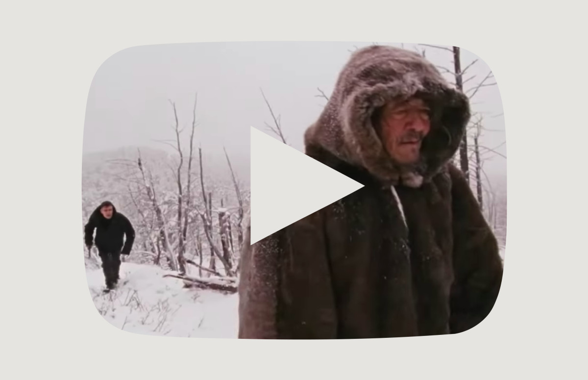 Фото: ТНТ / YouTube