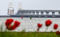Фото: Константин Михальчевский / РИА Новости