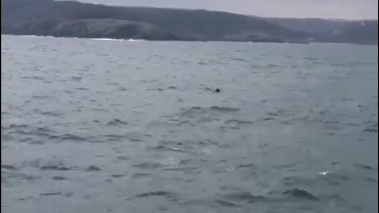 Турция закрыла проливы для всех военных кораблей — РБК