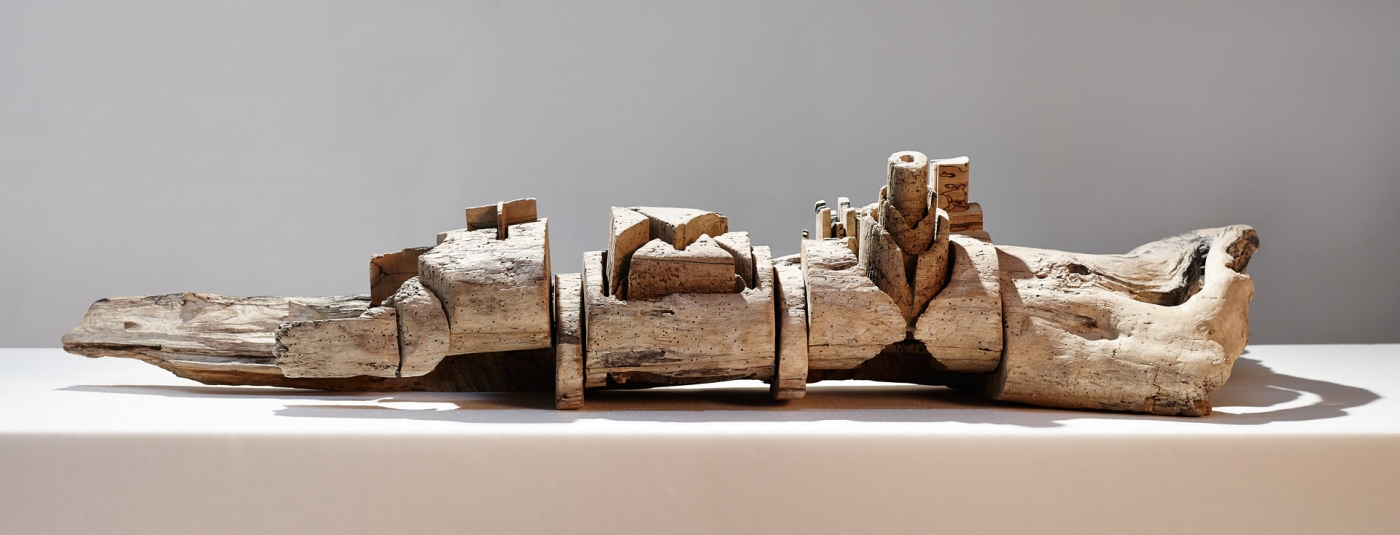 Recycle Group. «Ноев ковчег. Деталь 1», 2015