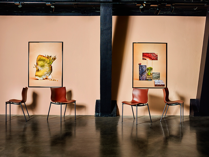 Стулья Cam El Eon, дизайн Филиппа Старка, Салоны «Частная коллекция», краска Argile. Цвет Melisse Des Bois
