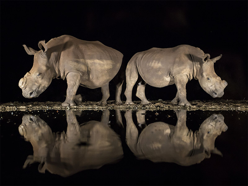 Фото: Alison Langevad / National Geographic