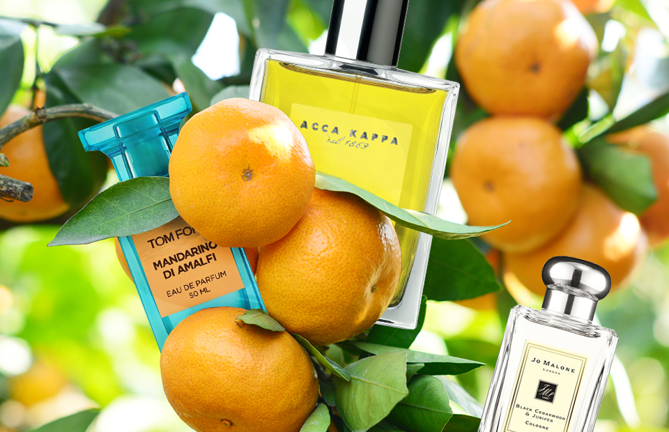 Bergamot neroli orange. Мандарин нектарин Джо Малон. Бергамот нероли апельсин. Бергамот апельсин духи. Цитрусовые ароматы Эссенс.