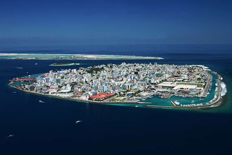 Фото: Wikimedia.org
