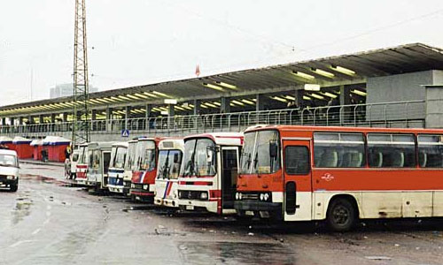 Только 30% междугородных автобусов оборудовали ремнями безопасности