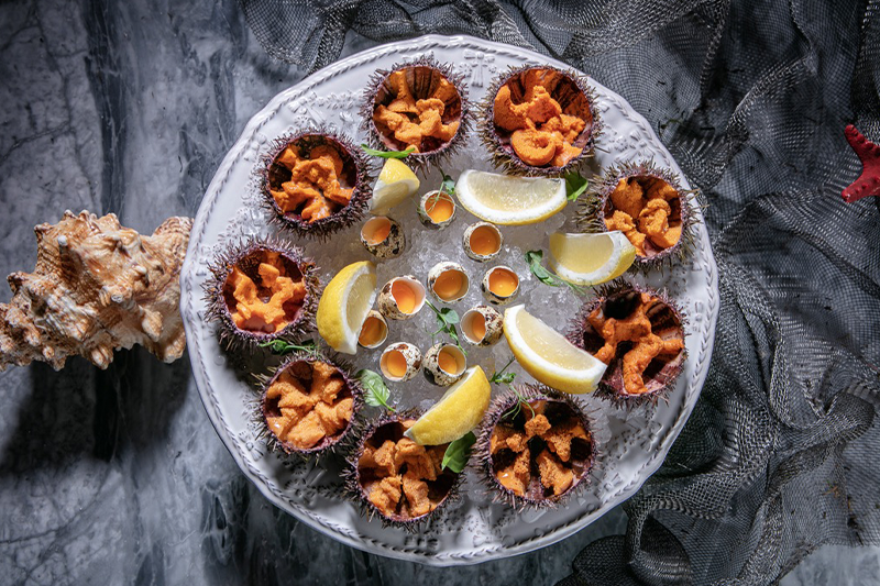 Морские ежи в Humans seafood bar