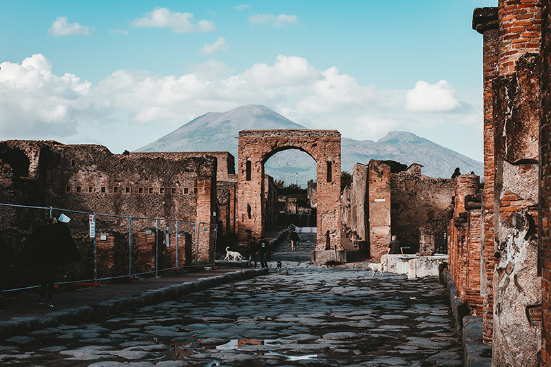 Фото: Andy Holmes/Unsplash