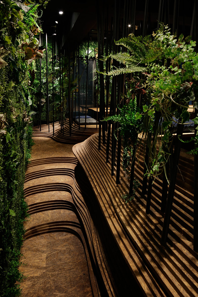 Фото: riao.co.jp
