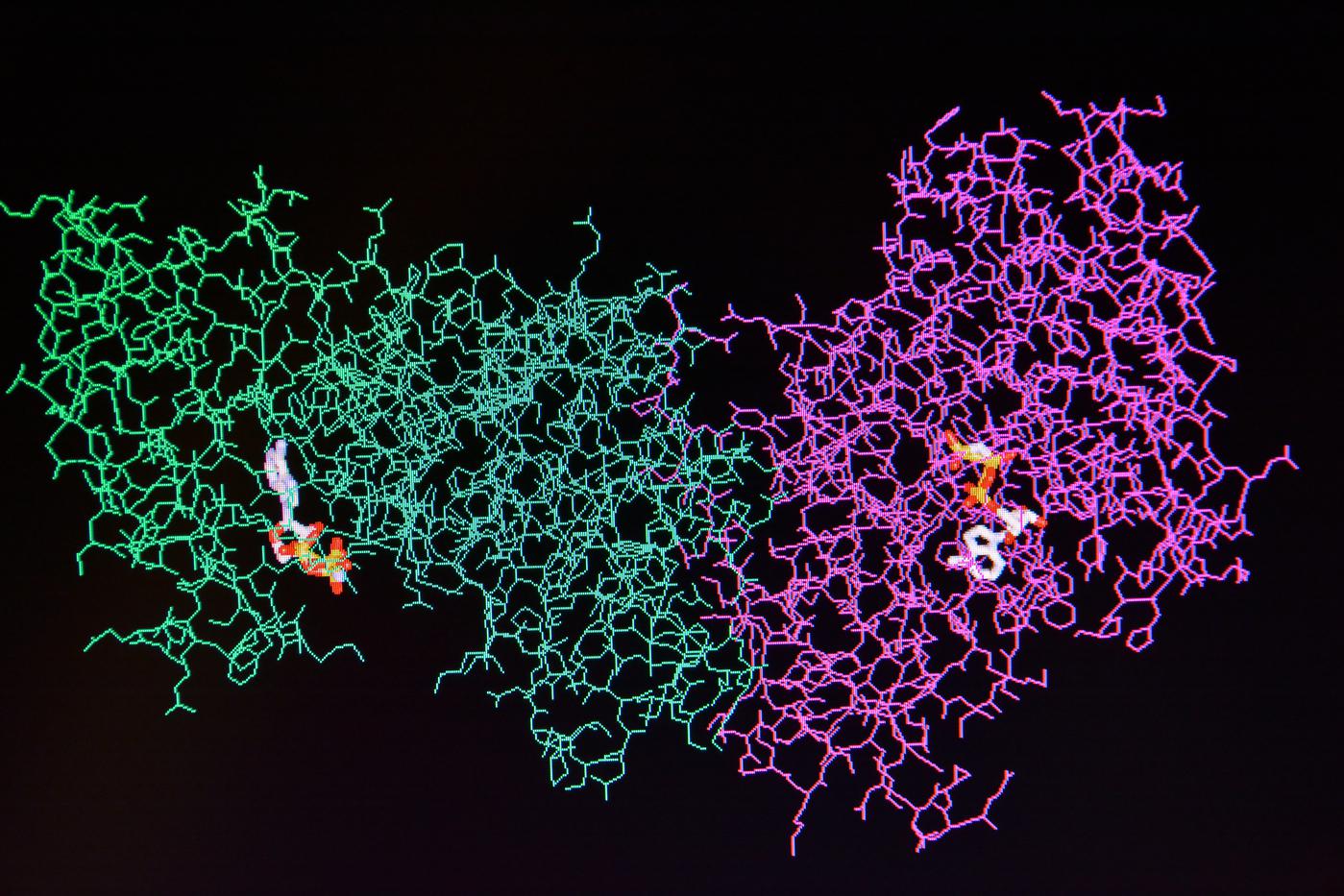 Структура молекулы белка