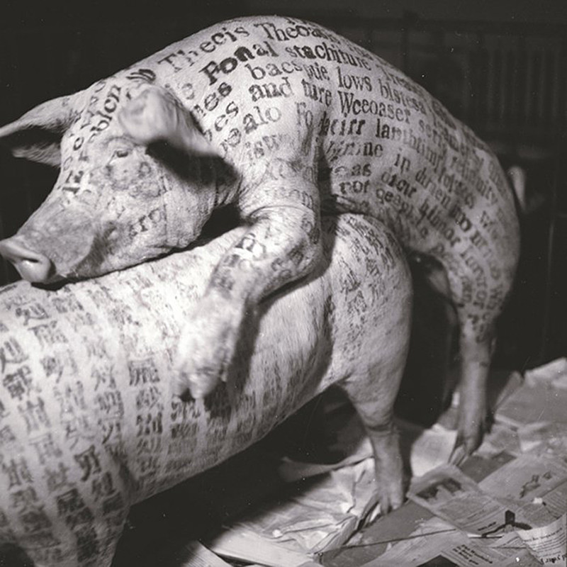 Ксю Бинг. «Изучение трансференции», 1994