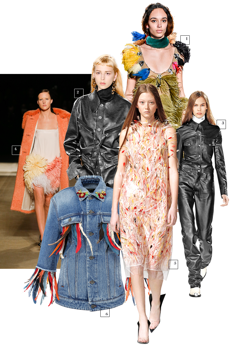 1 | Sonia Rykiel; 2 | Stella McСartney; 3 | Calvin Klein; 4 | Miu Miu; 5 | Calvin Klein; 6 | Dolce & Gabbana