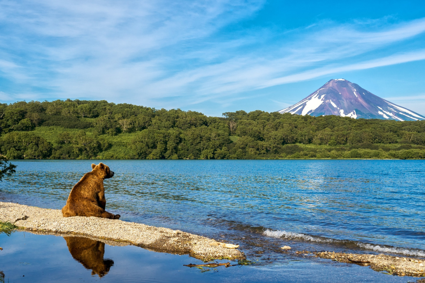 Фото: Shutterstock