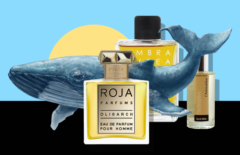 амбергрис в парфюмерии. амбра кита. реферат на тему сырье амбра. как выглядит китовая амбра. духи из кита.