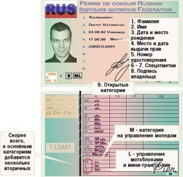 Как выглядят новые водительские удостоверения