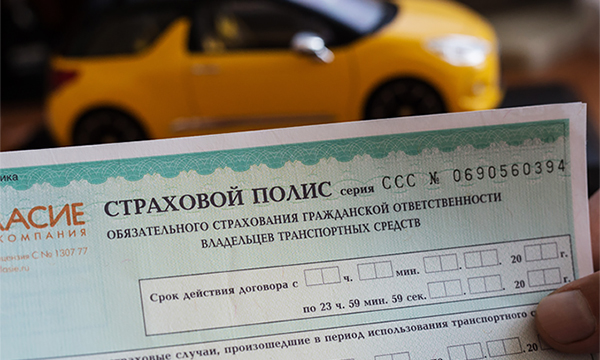 «Лучше ездить вообще без ОСАГО». Как не купить поддельный полис