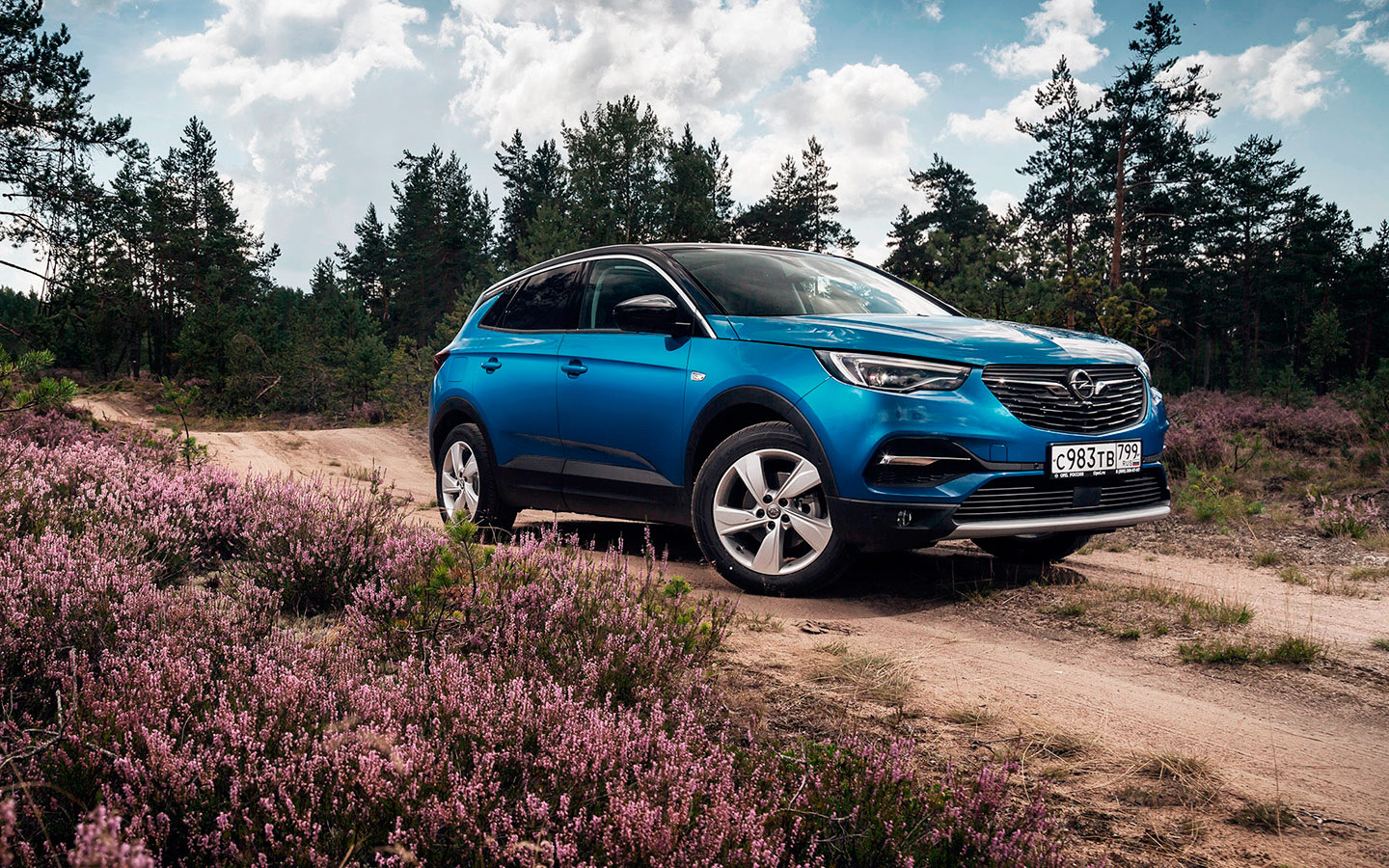 <p>Opel Grandland Х</p>