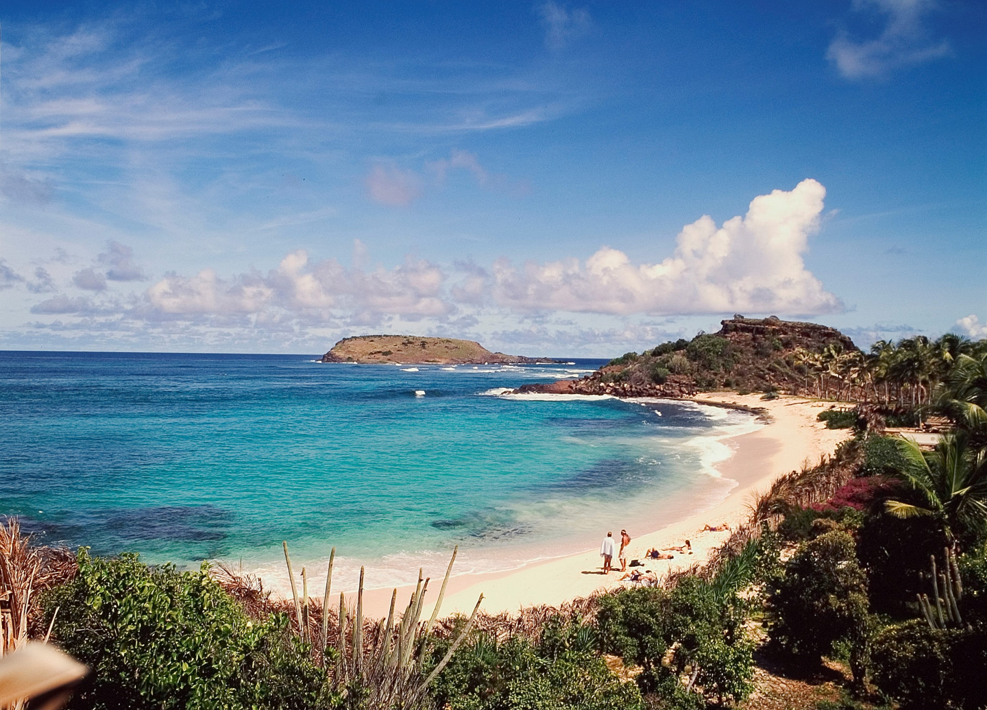 Фото: Marka/UIG via Getty Images