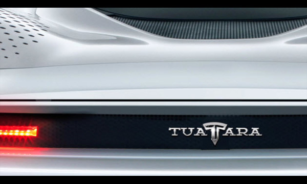 Tuatara
