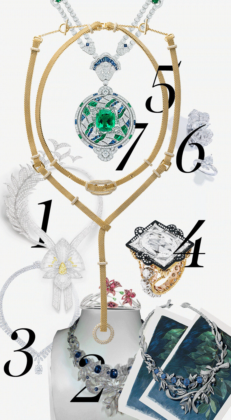 1. Колье Lys Radiant и брошь Plume de Paon, Boucheron
2. Колье Firmanent apollinien и Тиара Passion incarnat, Chaumet
3. Колье Albert Bridge, De Beers
4. Кольцо Appartements de Mesdames Cassette, Dior Joaillerie
5. Колье Hermes Attelage, Hermès
6. Кольцо Sunny Side of Life, Piaget
7. Колье Talisman Papillon, Van Cleef & Arpels