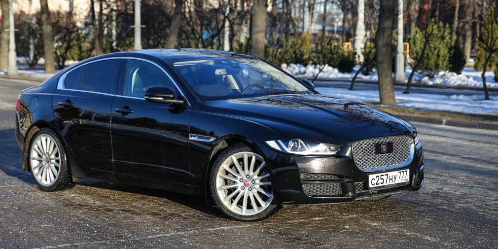 Зверобой обыкновенный. Тест-драйв Jaguar XE