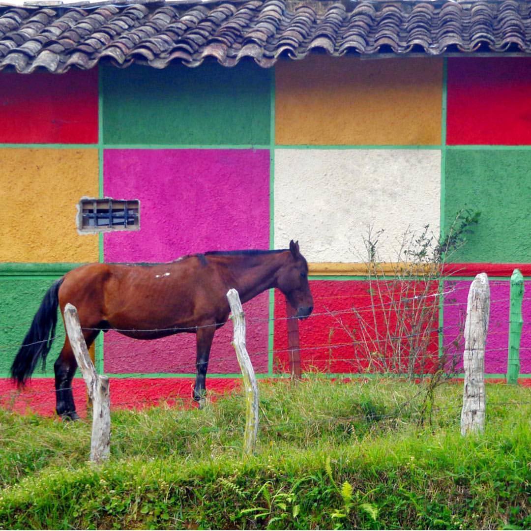 Фото: instagram.com/ihaveathingforwalls