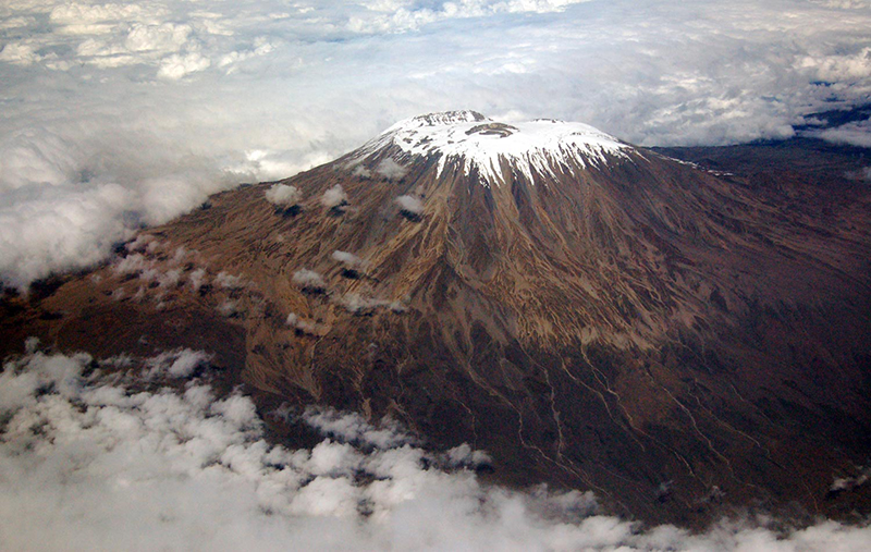 Фото: Wikimedia.org