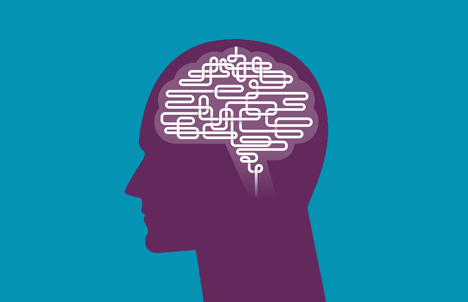 Мозг и его возможности. Мужской и женский мозг. Искусственный интеллект. Мозг и его возможности. Мозг интеллект.