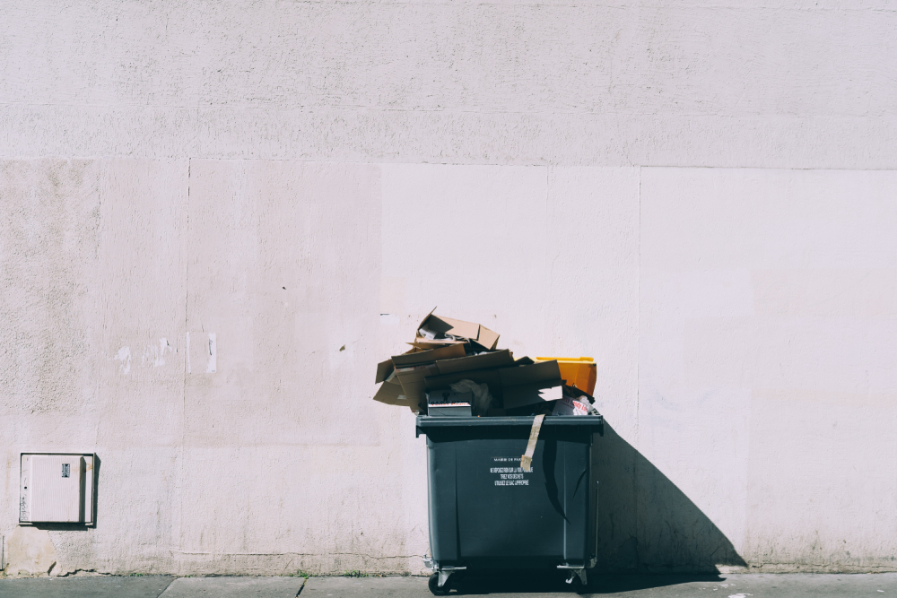 Фото: Jilbert Ebrahimi/Unsplash