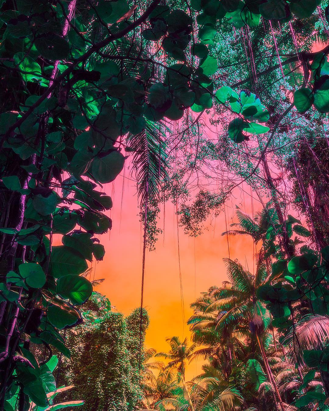Фото: instagram.com/lilmisch