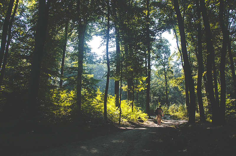 Фото: Sylwia Bartyzel/Unsplash