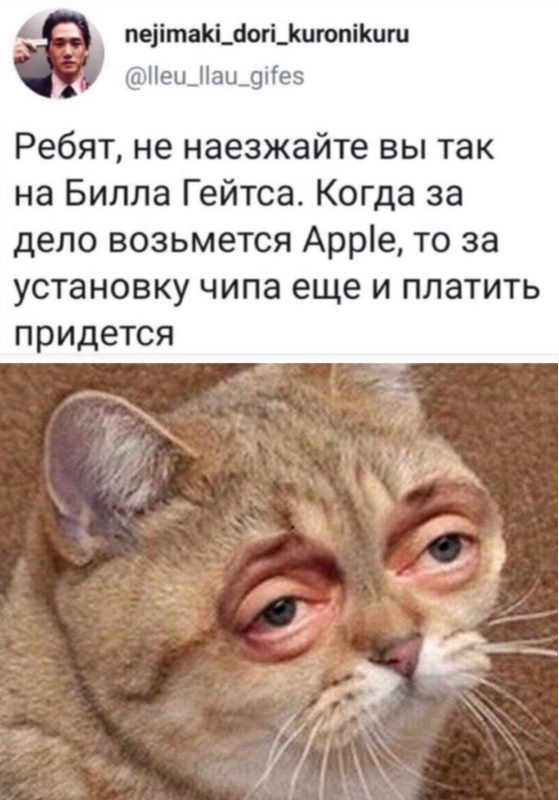 Фото: memepedia.ru
