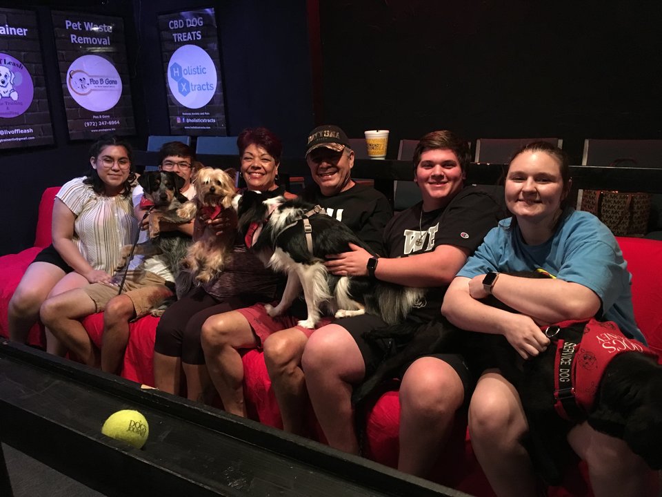 Фото: K9 Cinemas
