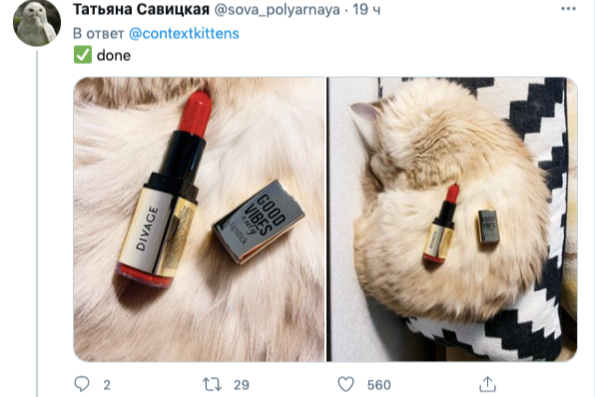 Фото: @sova_polyarnaya