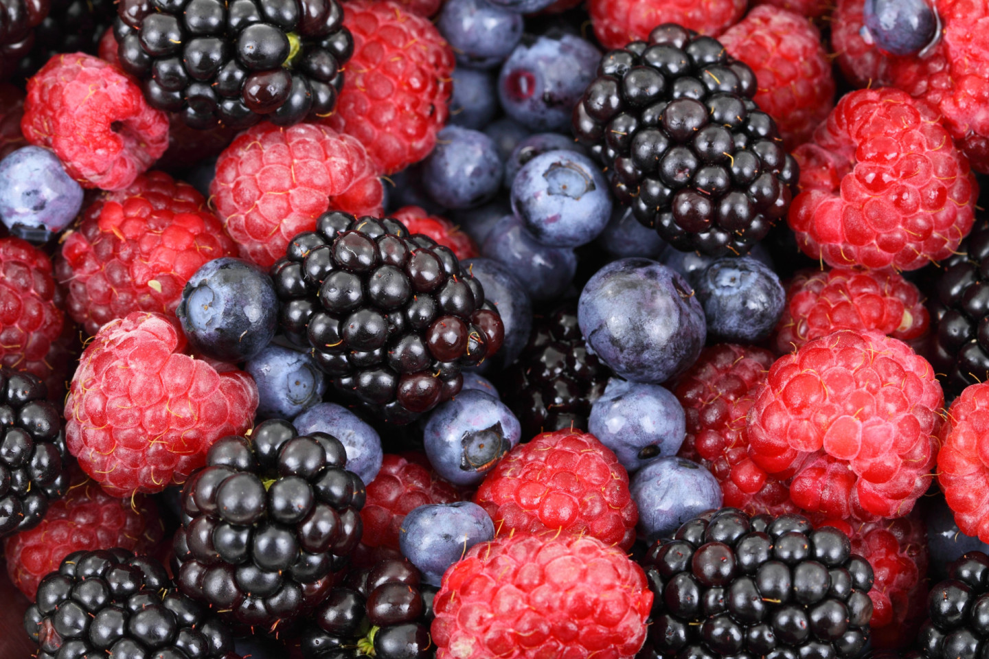 Важнейшие компоненты в «диете» для упругости кожи — ярко окрашенные ягоды (ежевика, клюква, голубика и черника) и зеленые листовые овощи