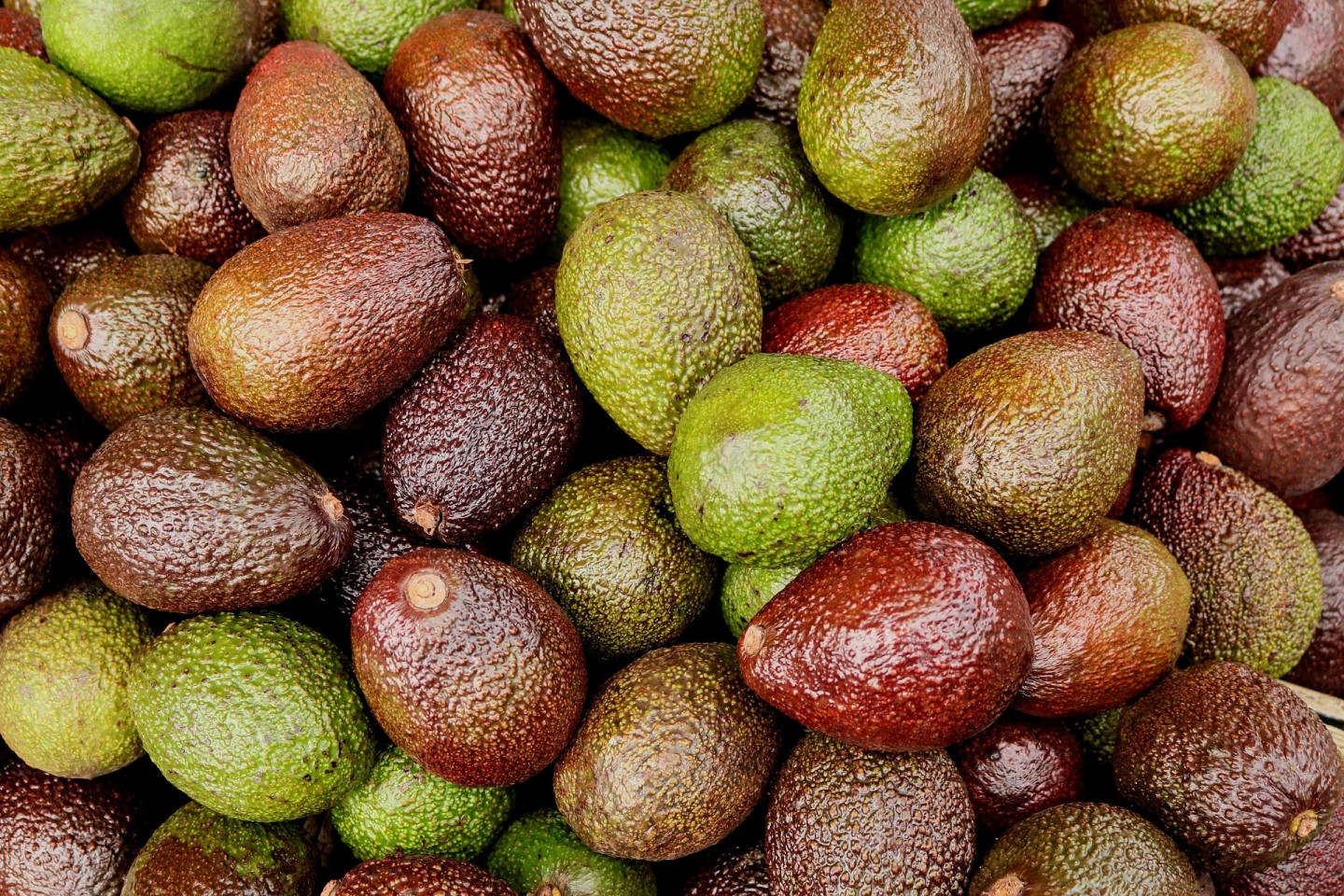 В мире существуют десятки разновидностей авокадо