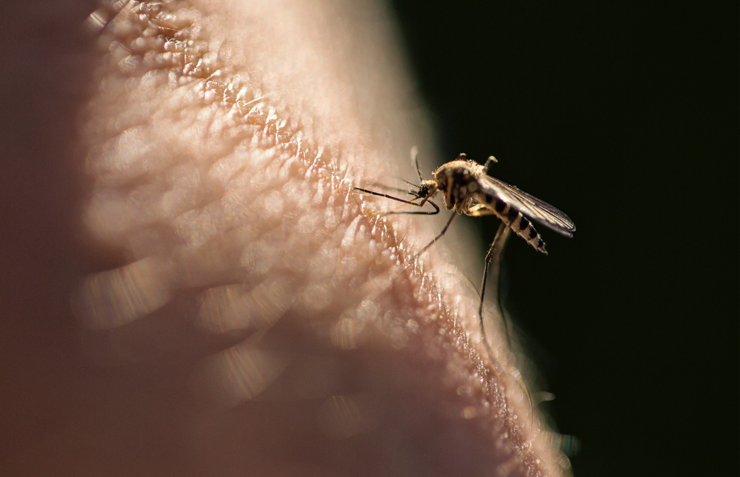 Чем снять зуд от укусов комаров ребенку