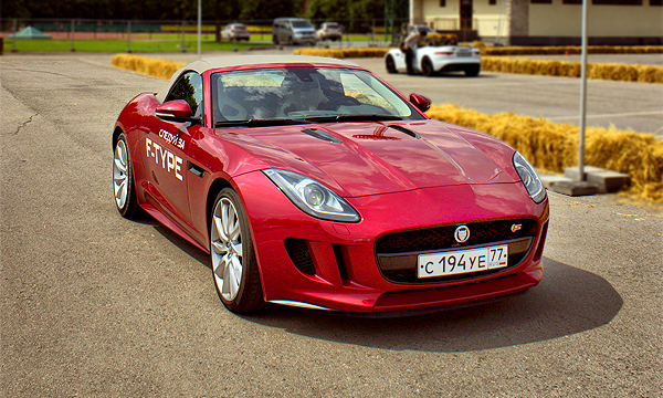 Дико домашний. Jaguar F-type