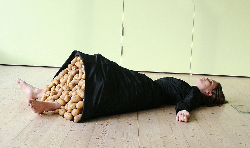 Малин Каста. «Если бы картофель был чувством», 2011