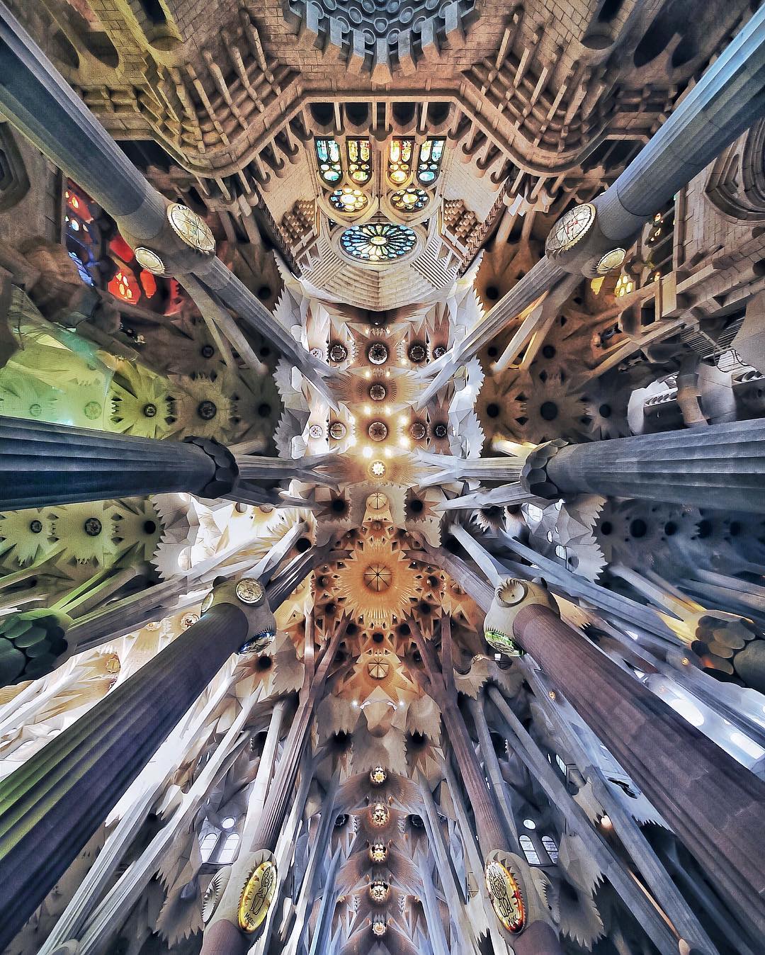 Фото: instagram.com/stoptheroc