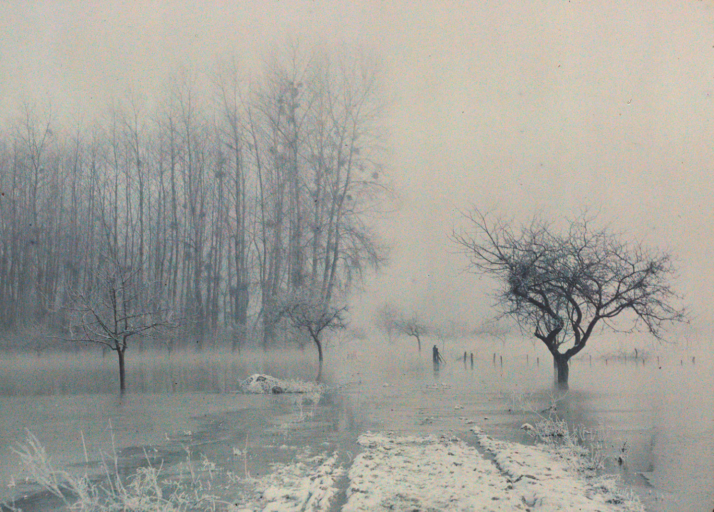 Антонен Персонна, без названия, 1907–1936. Автохром. Французское фотографическое общество, Париж