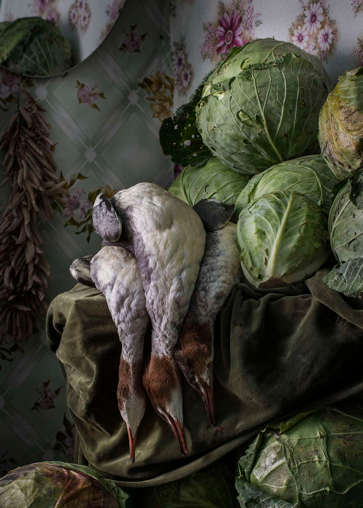 «Утки с капустой и кедровыми орехами», 2019, фотопечать, 71 х 50 см, тираж 10 экземпляров, 165 000 руб.