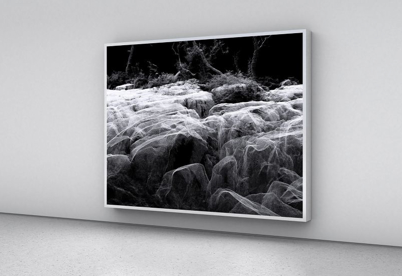 Фото: danholdsworth.com