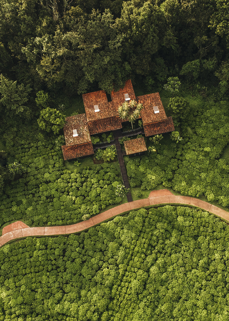 Вид на действующую чайную плантацию и экокурорт One&Only Nyungwe House