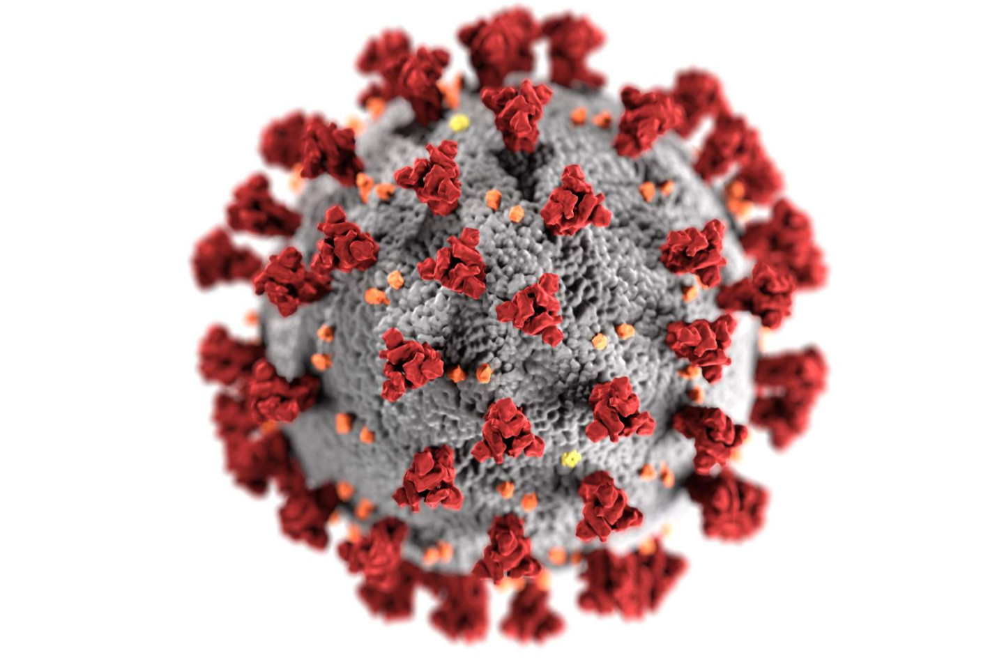 Коронавирус SARS-CoV-2
