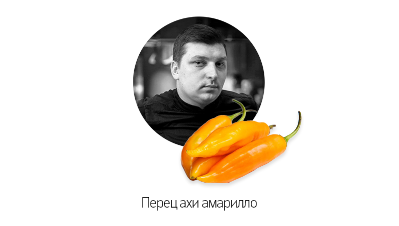 Василий Зайцев («Chicha»)