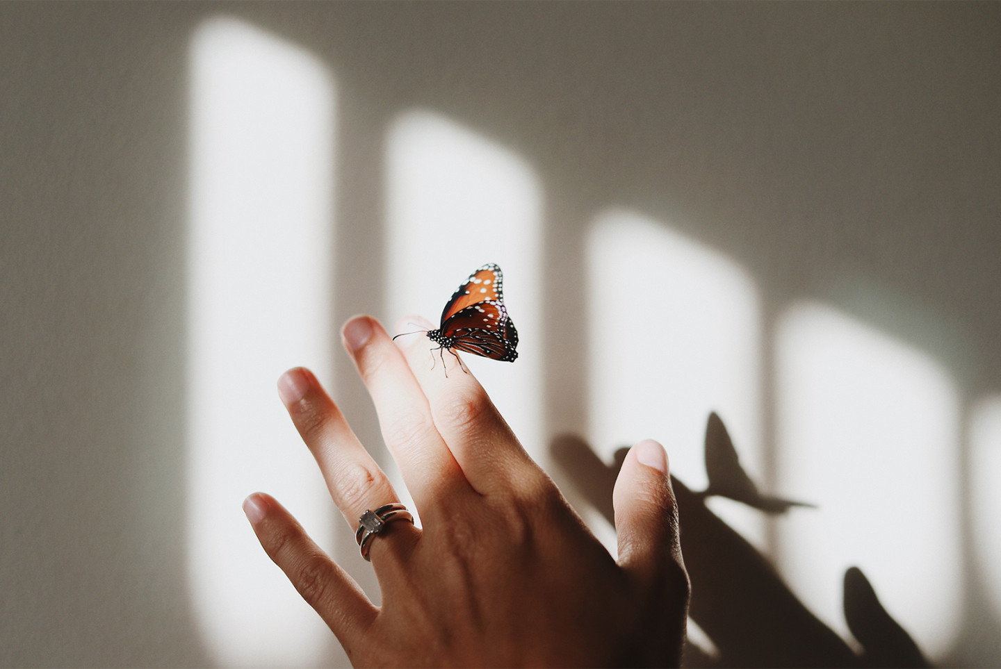 Фото: Amy Humphries/Unsplash