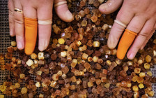 Фото: Станислав Красильников / ТАСС